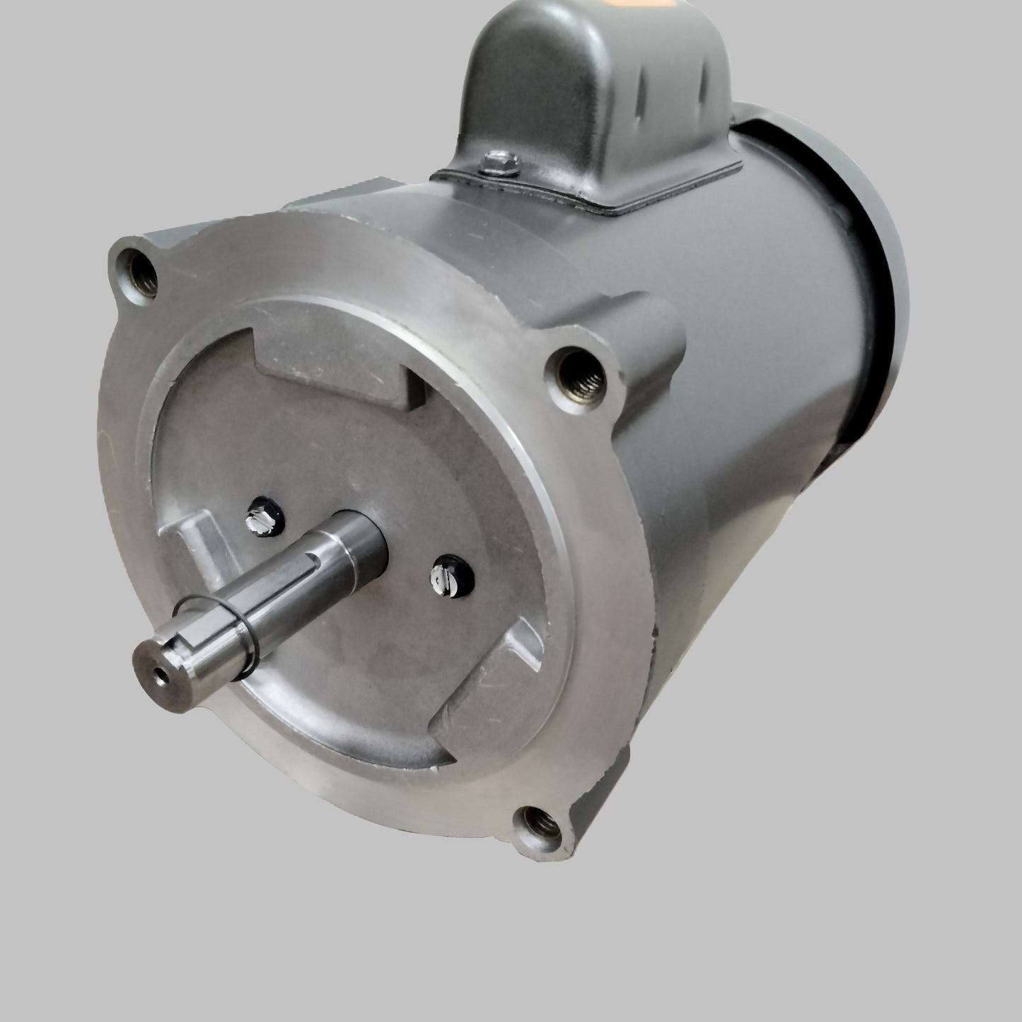 Wemco Portable Power Units - Replacement Motors